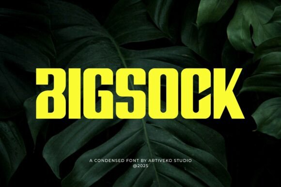 Bigsock: A Bold Sans Serif for Modern Editorial Design