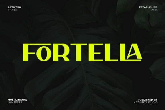 Fortella Typeface: Elevating Digital Brand Identity with Modern Sans Serif Elegance