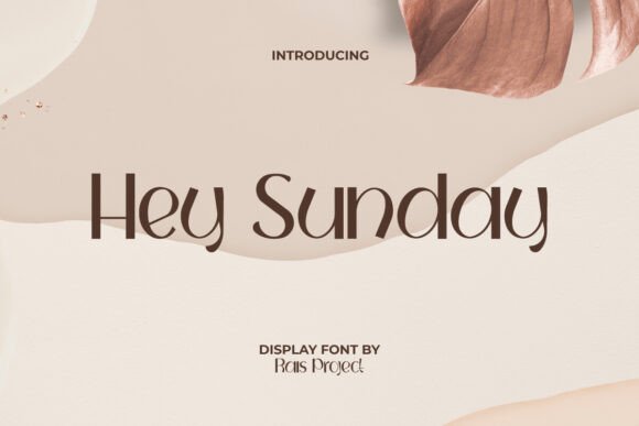 Hey Sunday: A Playful Sans Serif Font for Modern Brand Identity