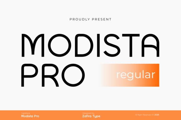 Modista Pro Review: A Designer’s Take