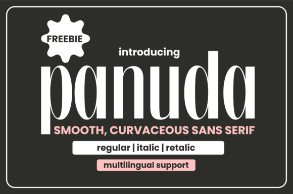 Panuda Typeface: Elevate Your Digital Brand Identity