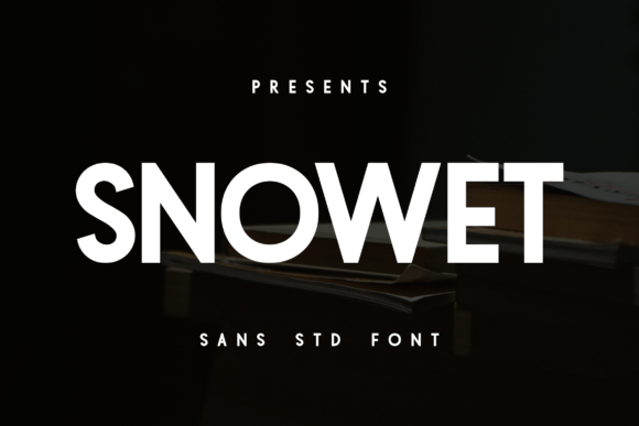 Snowet: A Designer’s Honest Review for Real-World Projects